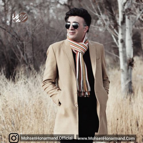محسن هنرمند