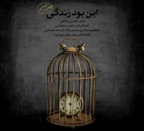 این بود زندگی