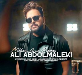 Ali Abdolmaleki - Mikham Aroom Besham